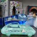 IMG_20260727_173501.webp